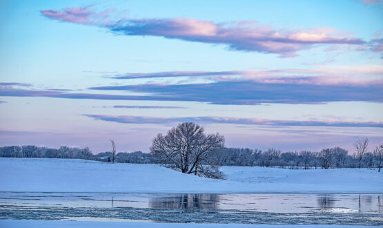 Photographe-Claude Bélanger photographe, Montreal photographe, Montréal, nature photo