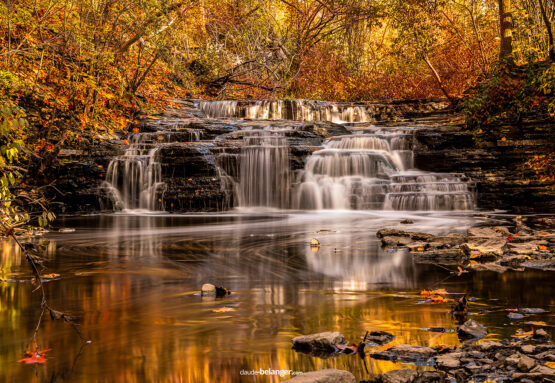 Claude belanger, photographe, Nature, montreal